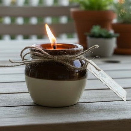 Citronella Sunshine - Bean Pots